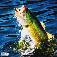 Bait - Single - Tehxx