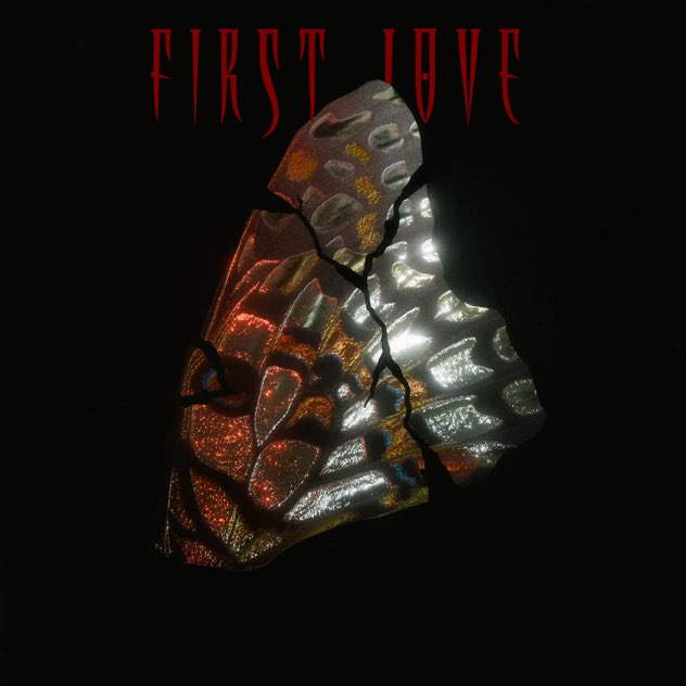 Cover art of First Love