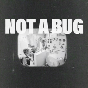 Not A Bug