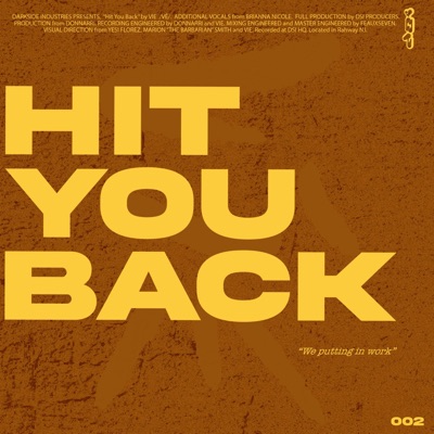 Hit You Back (feat. Brianna Nicole) - Single