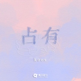 占有 koos