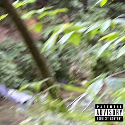 Stories Never Told (feat. T$treet$) - Single