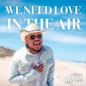 We Need Love in the Air (feat. Fiji) - Maoli Cover Art