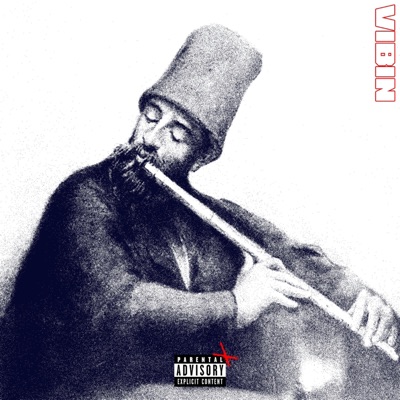 VIBIN - Single