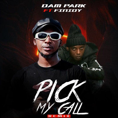Pick My Call (Remix) [feat. Finidy] - Single