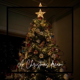 A Christmas dream BlazeWave