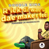 R lek di wae u dae make r feel - Single - Double King