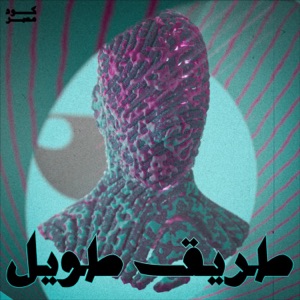 Tarek Taweel