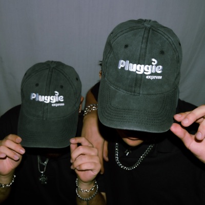 Pluggie Express
