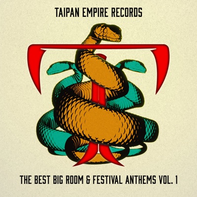 The Best Big Room & Festival Anthems Vol. 1 (Mixed by Pavoire) [DJ Mix]