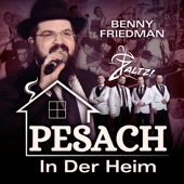 Pesach in Der Heim artwork