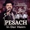 Pesach in Der Heim artwork