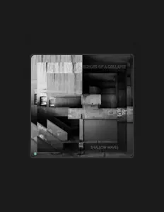 Ascolta Shallow Waves, guarda video musicali, leggi la biografia, vedi le date del tour & altro!