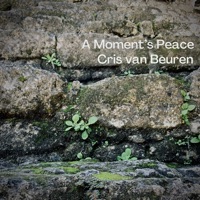 A Moment's Peace - Single - Cris Van Beuren