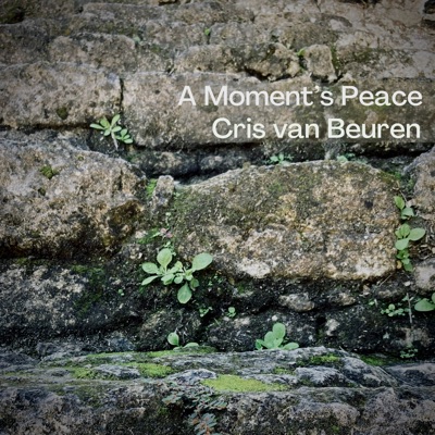 A Moment's Peace - Single
