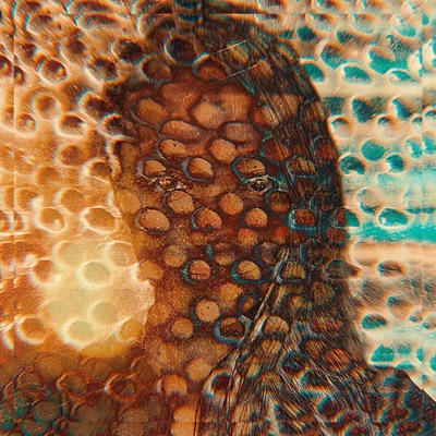 Heart of Gold - Single