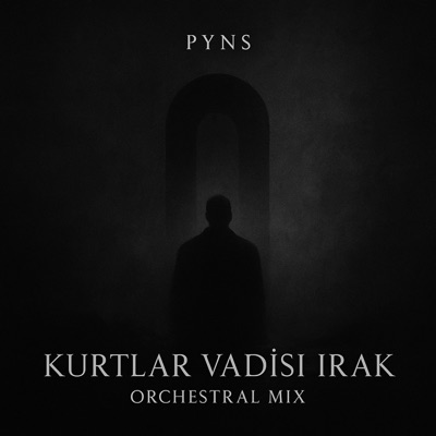PYNS - Kurtlar Vadisi Irak (Orchestral Mix)