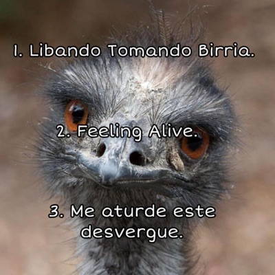 Feeling alive - Single