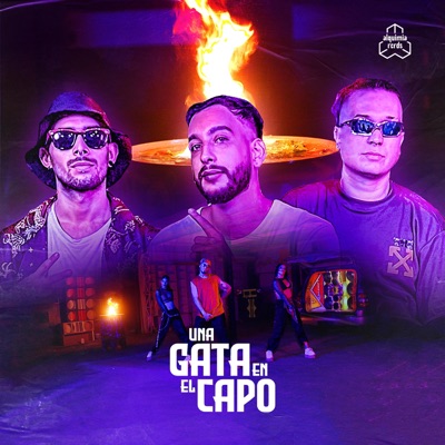 Una Gata en el Capo (feat. DJ Poc, MC ELKOO & EFEEME) - Single