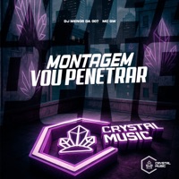 Montagem Vou Penetrar - Single - DJ MENOR DA 007, Mc Gw & Crystal Music Brasil