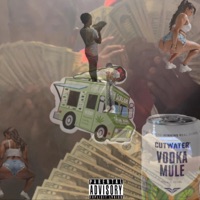 CutWater (feat. Liu Meir) - Single - twocupjusto