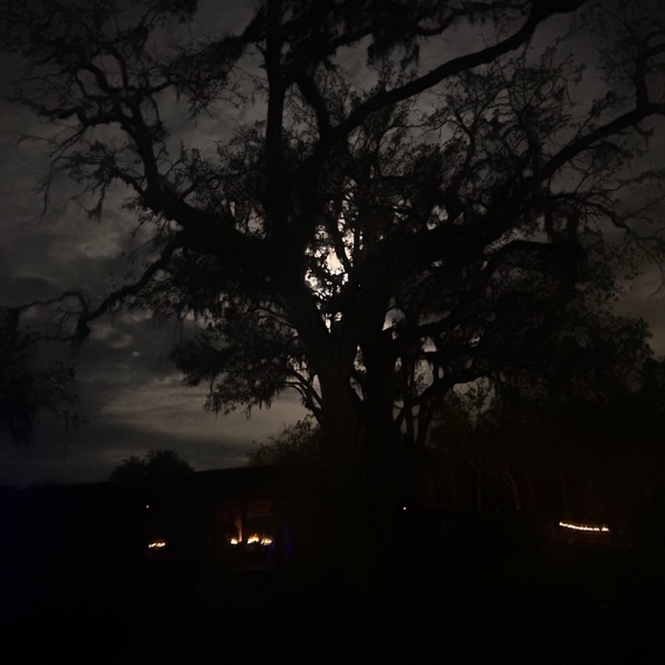 Sober Tendencies (feat. Ya mut)