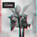 Illusion