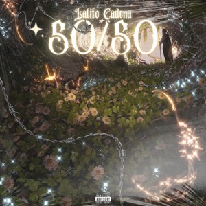 50 / 50