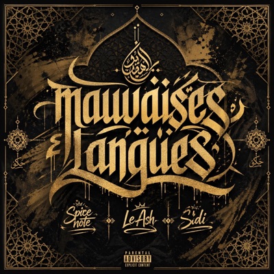 mauvaises langues (feat. le ash & sidi) - Single
