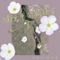 缝隙中的新枝芽 - Single - 尹星乔 & 陆卡斯