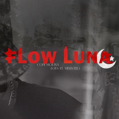 Flow Luna (feat. Loys El Ministro) - Single