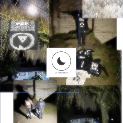 Do Not Disturb - Single