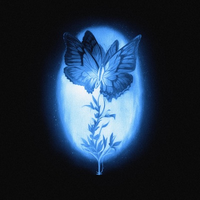 Lonely Vibes - Single