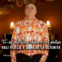 Ti-As Da Luna Daca S-Ar Putea (feat. Doru de la Oltenita) - Single - Vali Vijelie