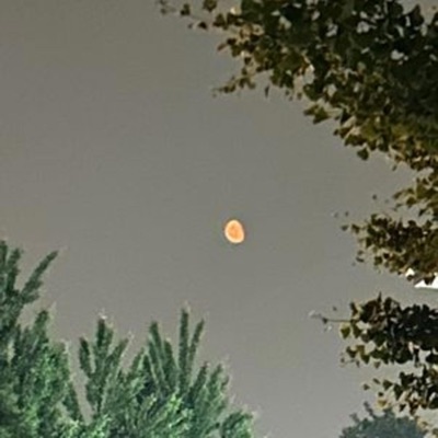 numbthepain (feat. ilykris) - Single