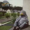 My Life As A Pigeon