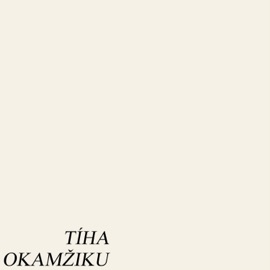 Tíha okamžiku (feat. Žanet) Wavy & Alone