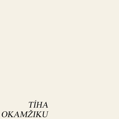 Tíha okamžiku (feat. Žanet) - Single