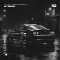 Nevermind - Single - Levis Della, Henry Hood & Sanduú