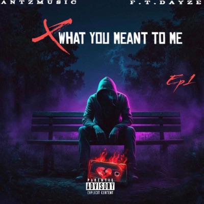 What You Meant To Me - Single