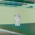 La derive