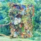 kudzu - Anakeesta Ironwood lyrics