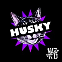 HUSKY - Insmnc & WZRD Gundlach