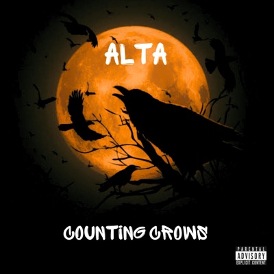 COUNTING CROWS - Single