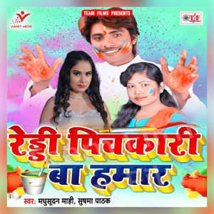Reddy Pichkari Ba Hamar - Single