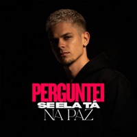 Perguntei se ela tá na paz - Single - Niack