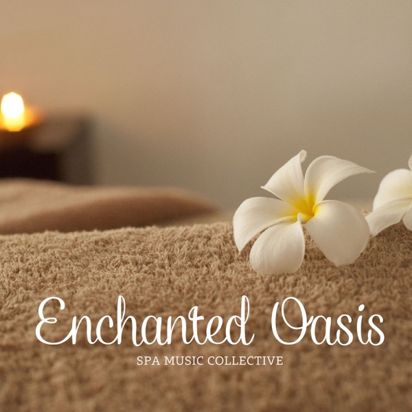 Enchanted Oasis: Spa Music for Meditation