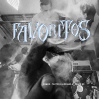 Favoritos (feat. Fmxs & Tactos Valensuela) - Single - Toner Ks