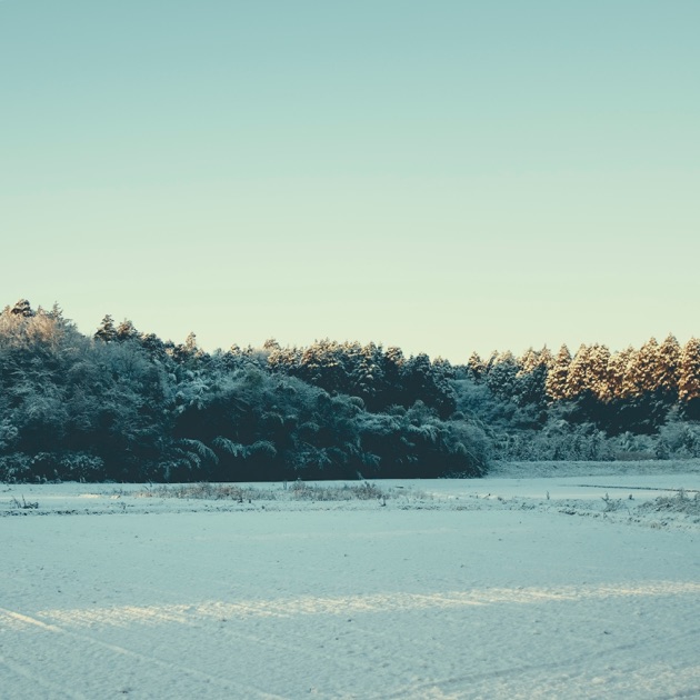 Disappearance - Ryuichi Sakamoto + Taylor Deupreeのアルバム