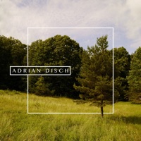 As the World Waits - Single - Adrian Disch